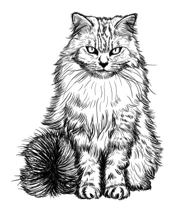 Portrait de caricature noir et blanc de chat