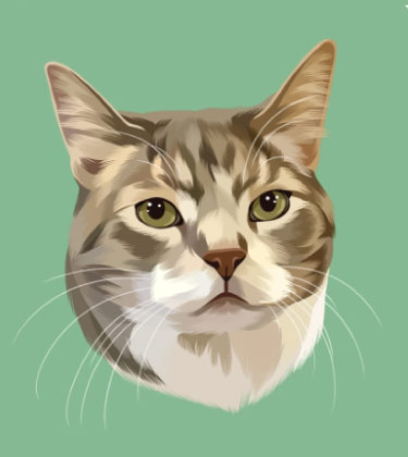Portrait de chat mignon sur fond vert