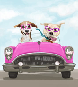 Deux chiens dans la caricature de voiture cabriolet
