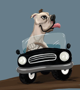 Chien conduisant une caricature de voiture