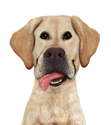 Portrait de chien mignon avec la langue dehors